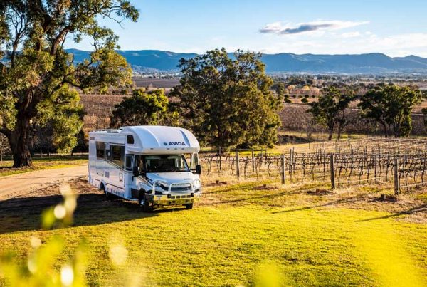 Avida motorhome parked in a vineyard landscape with rolling hills and trees, illustrating the freedom of motorhome travel in scenic locations.